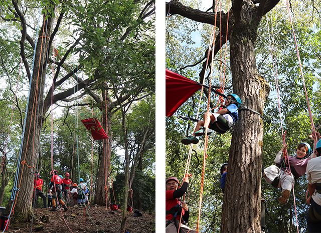 ツリークライミング